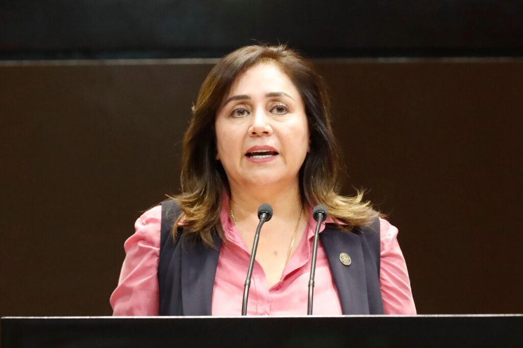 La diputada López Sosa (PAN) pide reformar el Código Penal Federal para establecer una pena de hasta cinco años de prisión