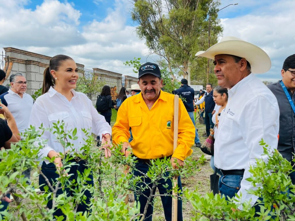 Arranca jornada de reforestación en Sjr